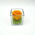 Mini Blossom