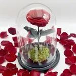Sparkling Cloche