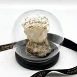 Cloche Eternal Black Lines