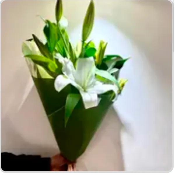 Lys blancs