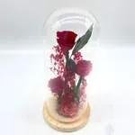 Cloche Red Shades