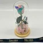 Cloche Eternal Rainbow Pink