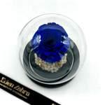 Royal Blue Eternel Rose