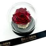 Eternal Rouge