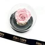Cloche Eternal Rose