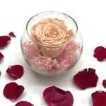 Reflet Blush