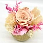 Trésor Éternel Rose