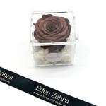 Pure Chocolat