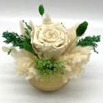 Trésor Éternel Garden