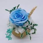 Trésor Eternel Bleu Ciel