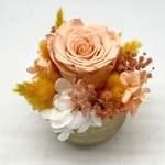 Trésor Éternel Pêche