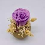 Trésor Éternel lavande