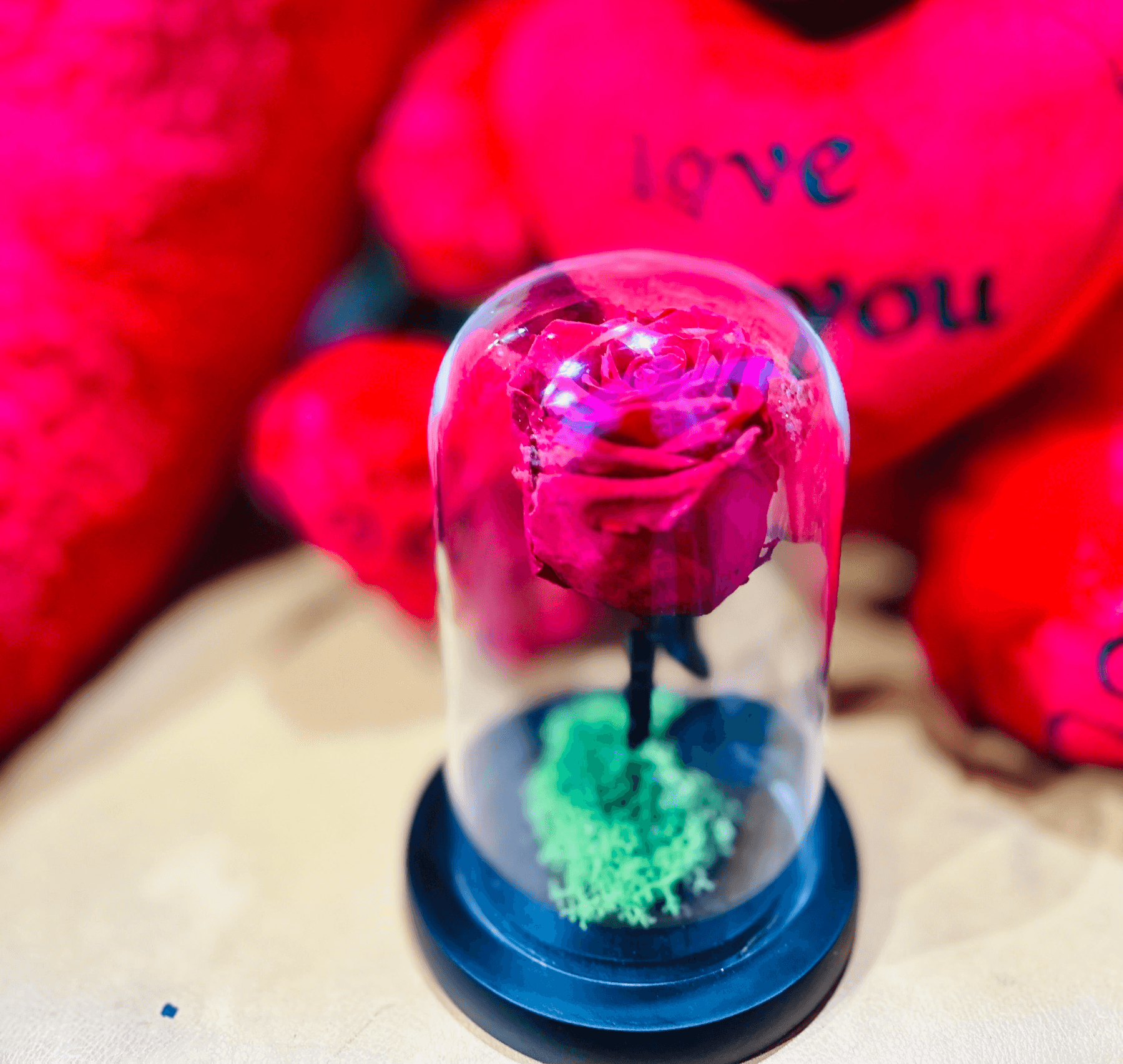 Rose Eternelle - Boule