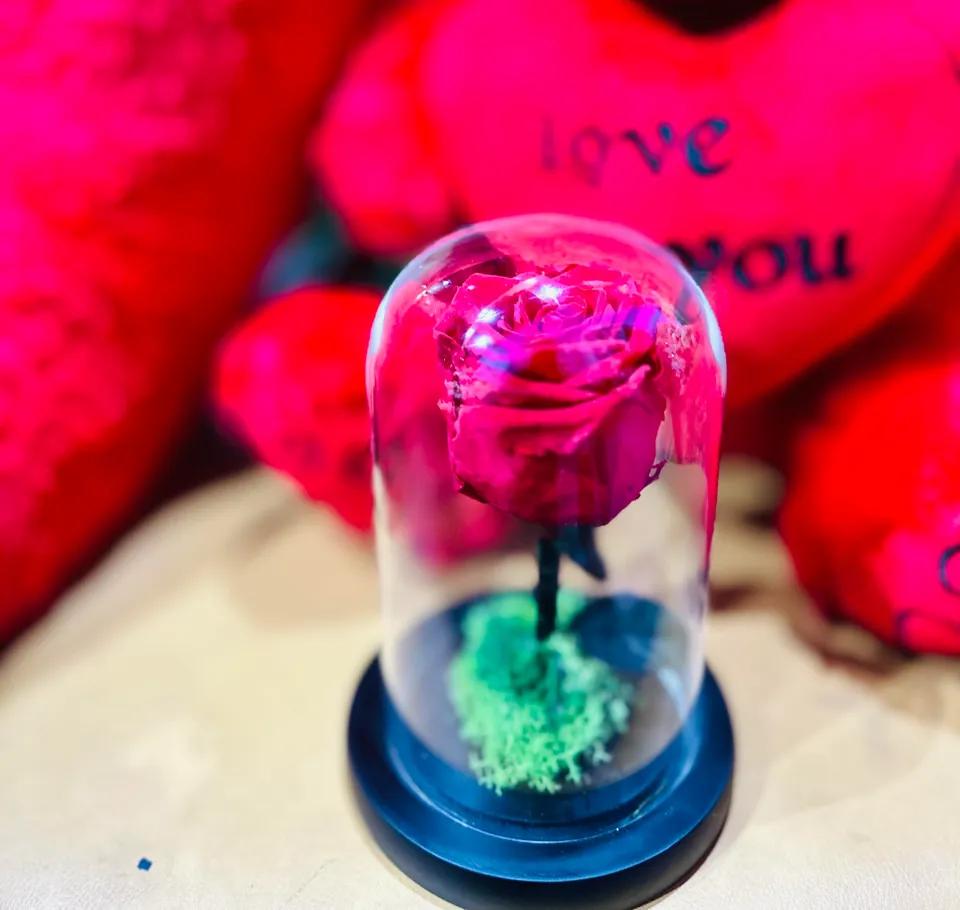 Rose Eternelle - Boule
