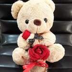 Bear & red rose