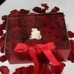 Clair Acrylique  rose