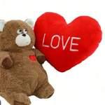 Moyen coussin pèluche