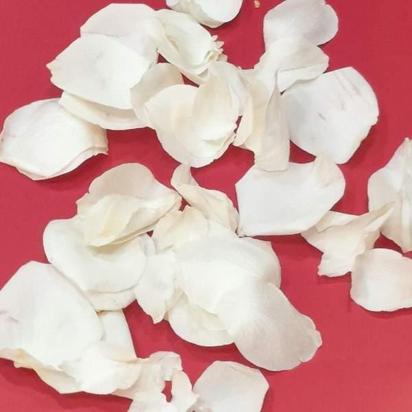 10 roses pétales blanches