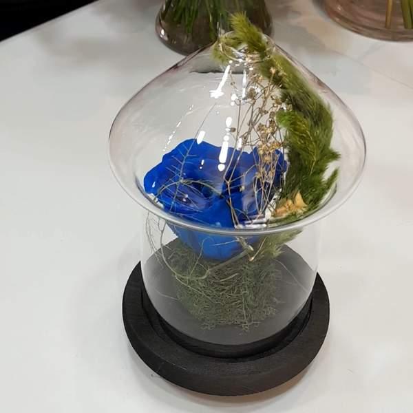 Rose ètèrnèlle bleu roi