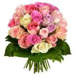 Sorbet – 20 Roses Pastel