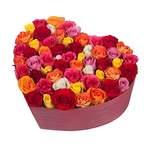 Écrin d’Amour Arc-en-Ciel “Qalb al-Alwan”