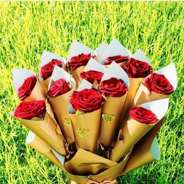 Des roses simples de différentes couleurs