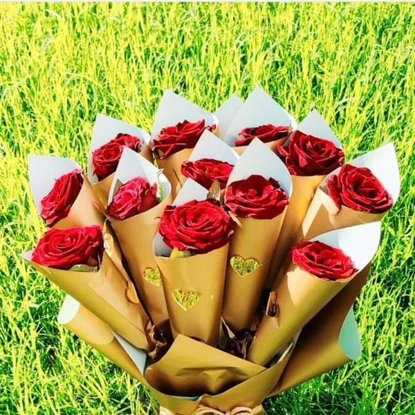 Des roses simples de différentes couleurs