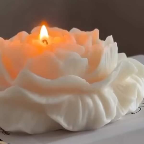 Bougies décoratives