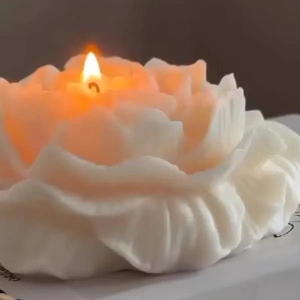 Bougies décoratives