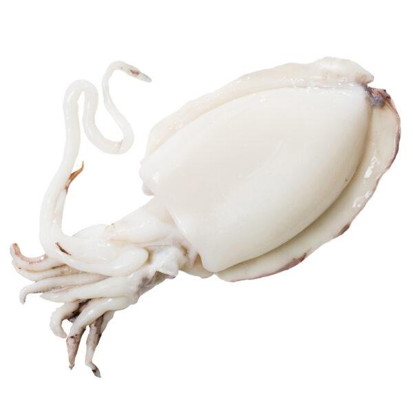 Sépia