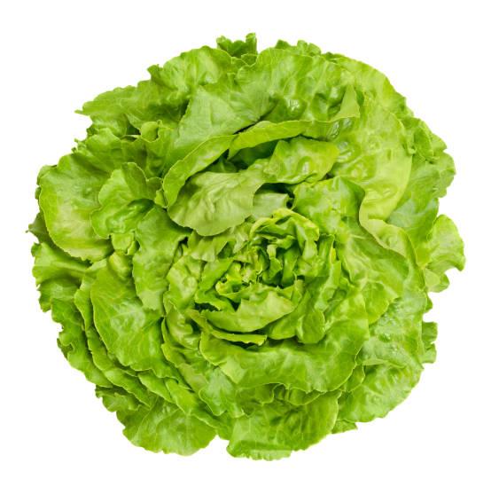 Laitue