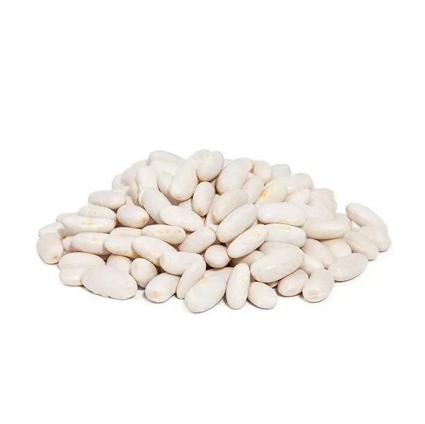 Haricot Blanc