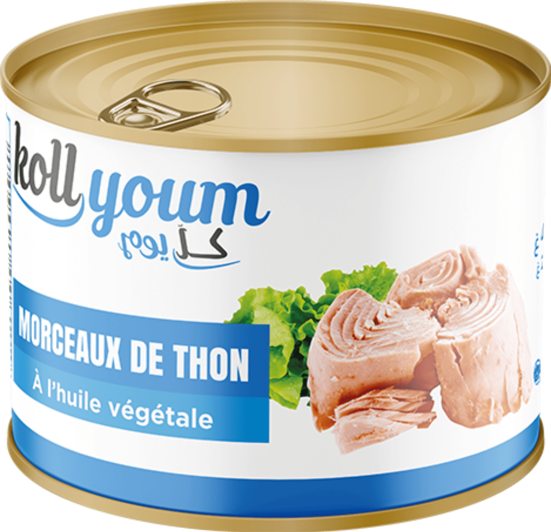 Kollyoum Thon Morceau 1,7kg Huile Végétale