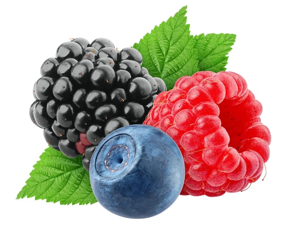 Sundae Fruit des Bois