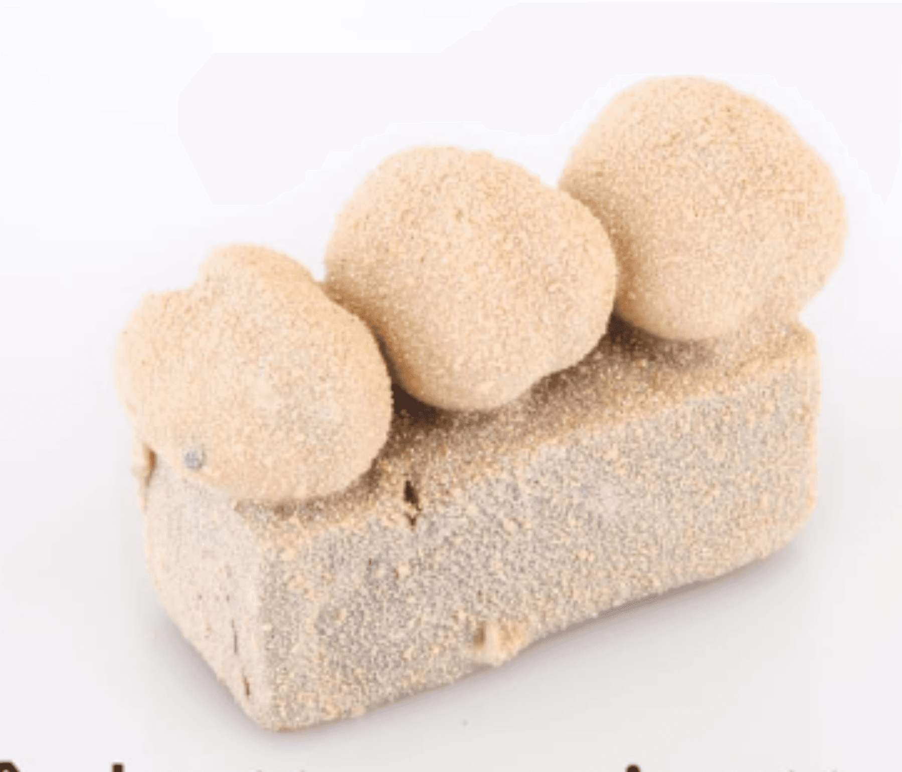 Buchettes Noisette 100g