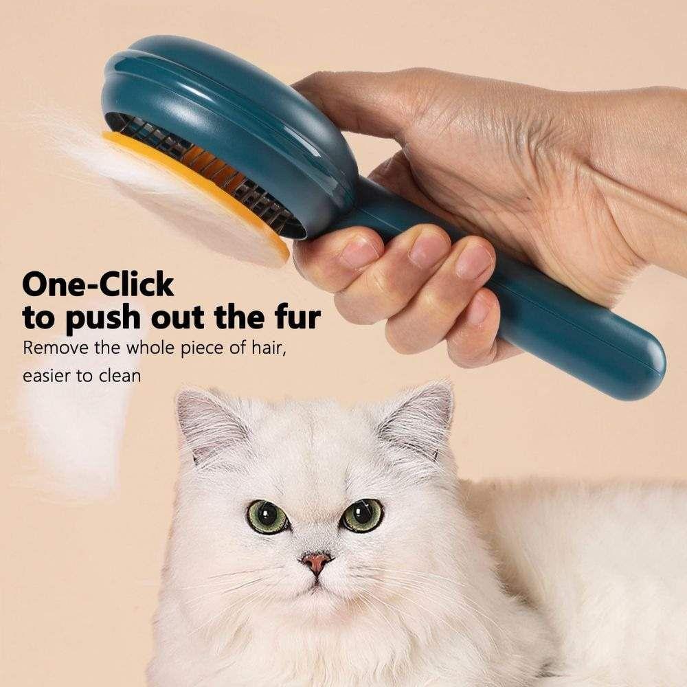 Brosse de nettoyage des poils de chien et de chat