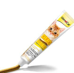 Gc Multi-vit Duo Paste Cheese+12v 50g