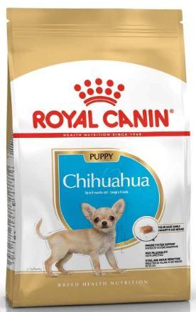 Bhn Chihuahua Puppy 1.5kg Rc 10657