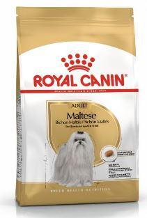 Adult Bichon Maltais 1.5kg Rc 82203