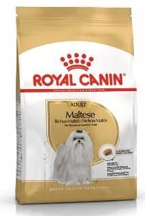 Adult Bichon Maltais 1.5kg Rc 82203