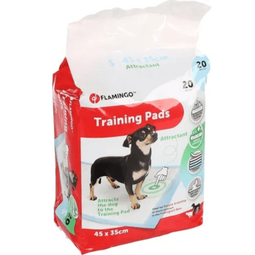 TAPIS D'APPRENTISSAGE PADY S 20 PCS ATTRACTANT 45*35CM