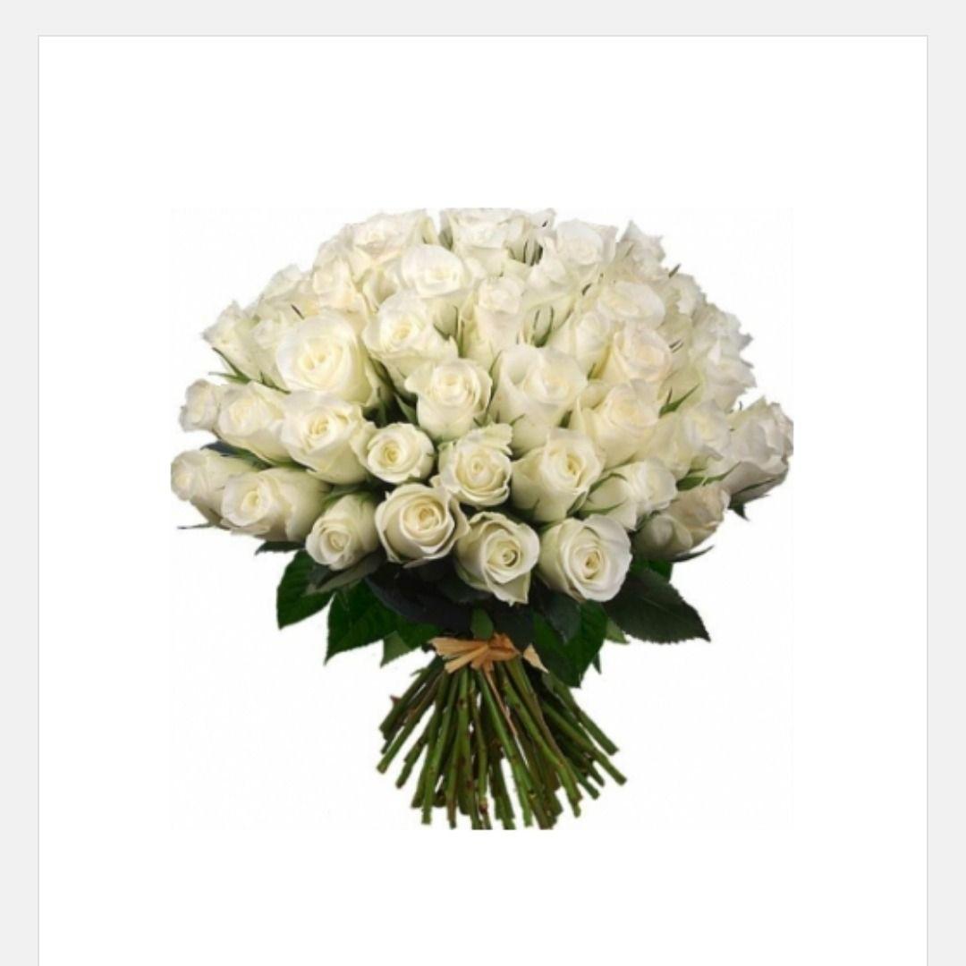 Bouquet géant 50 Roses Blanches