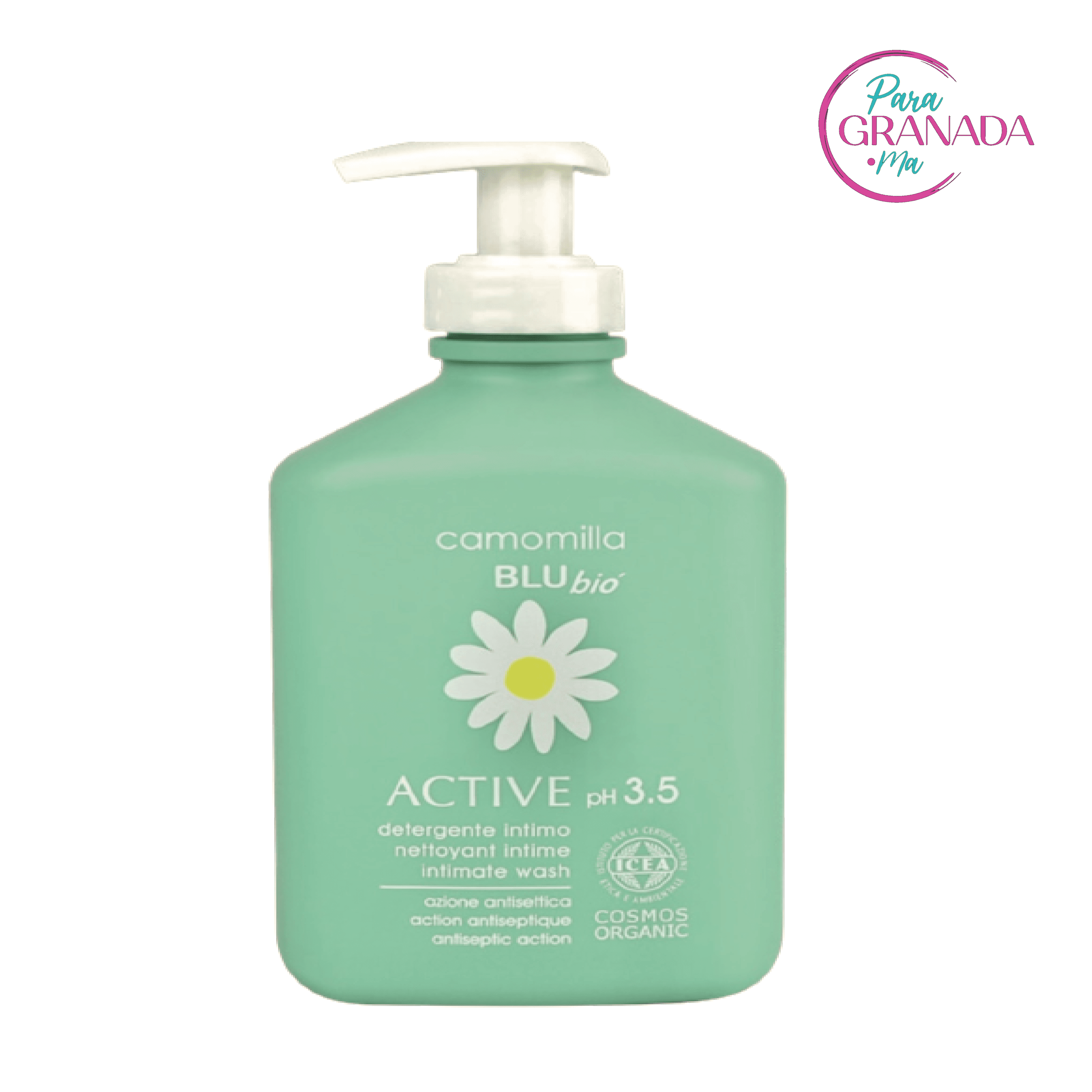 Camomila Blu Eco Bio 3.5