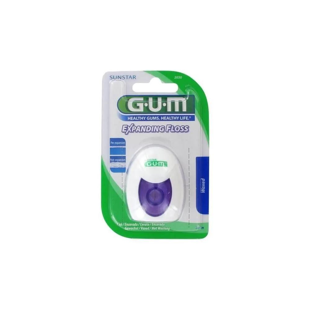 Gum Fil Dentaire 2030