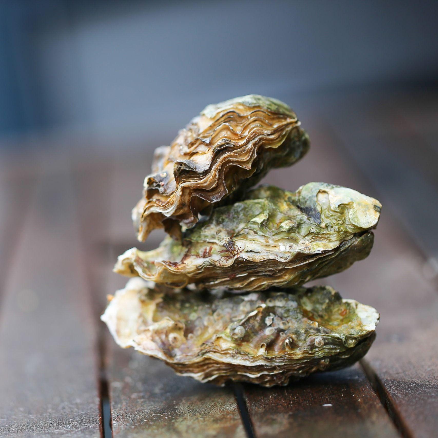 N°1 , 1 Pièce Huitre Fermer