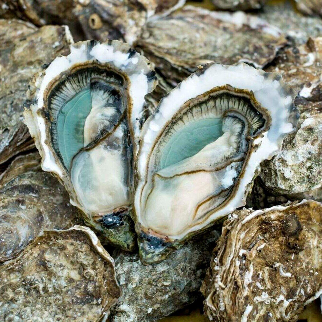 N°2.6pieces Huitres Ouvertes Avec Citron Et Sauce Échalotes