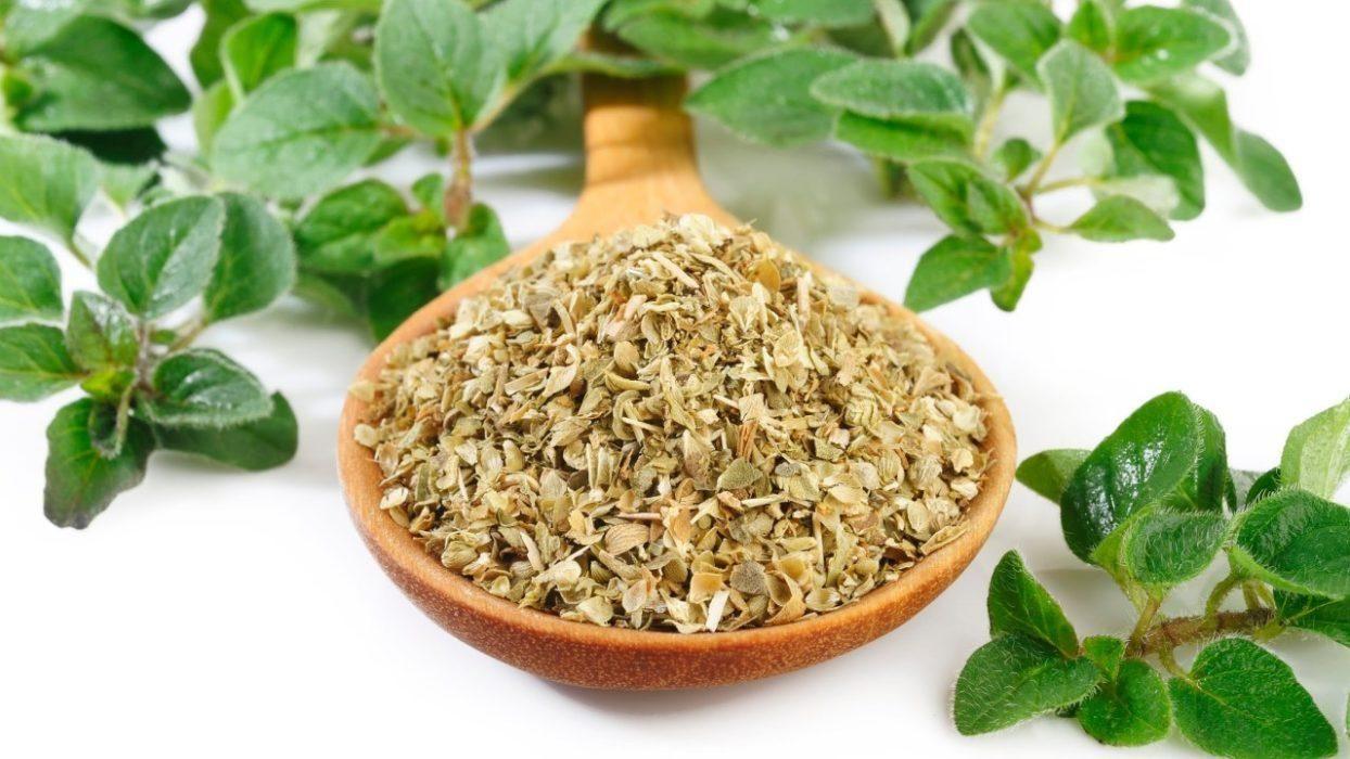 Origan  Déshydraté  15g