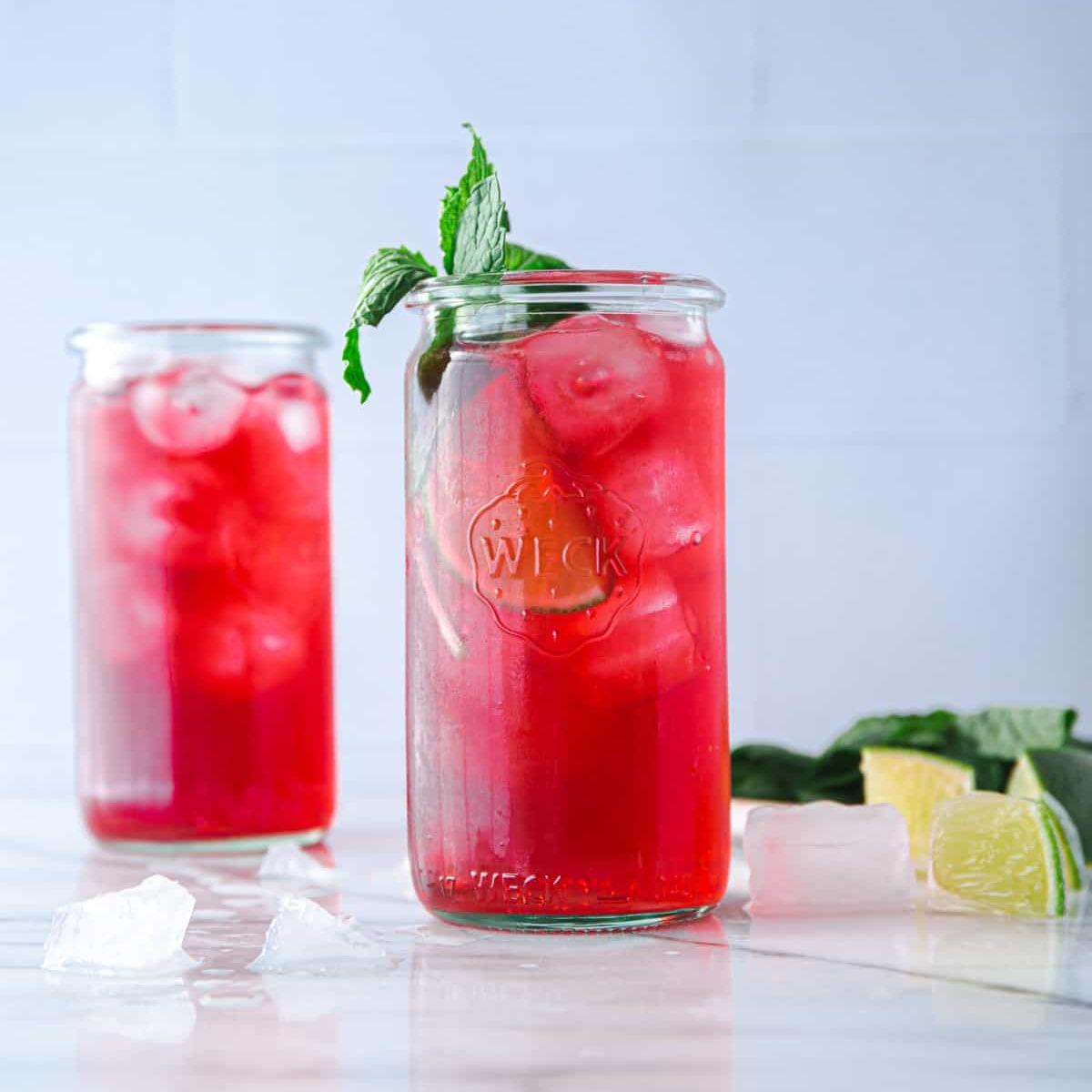 Ice Tea Hibiscus