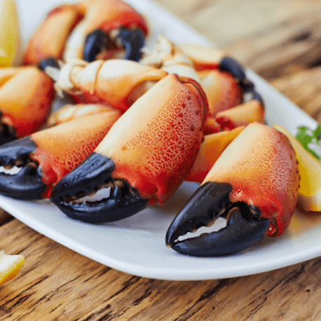 Pinces de Crabes