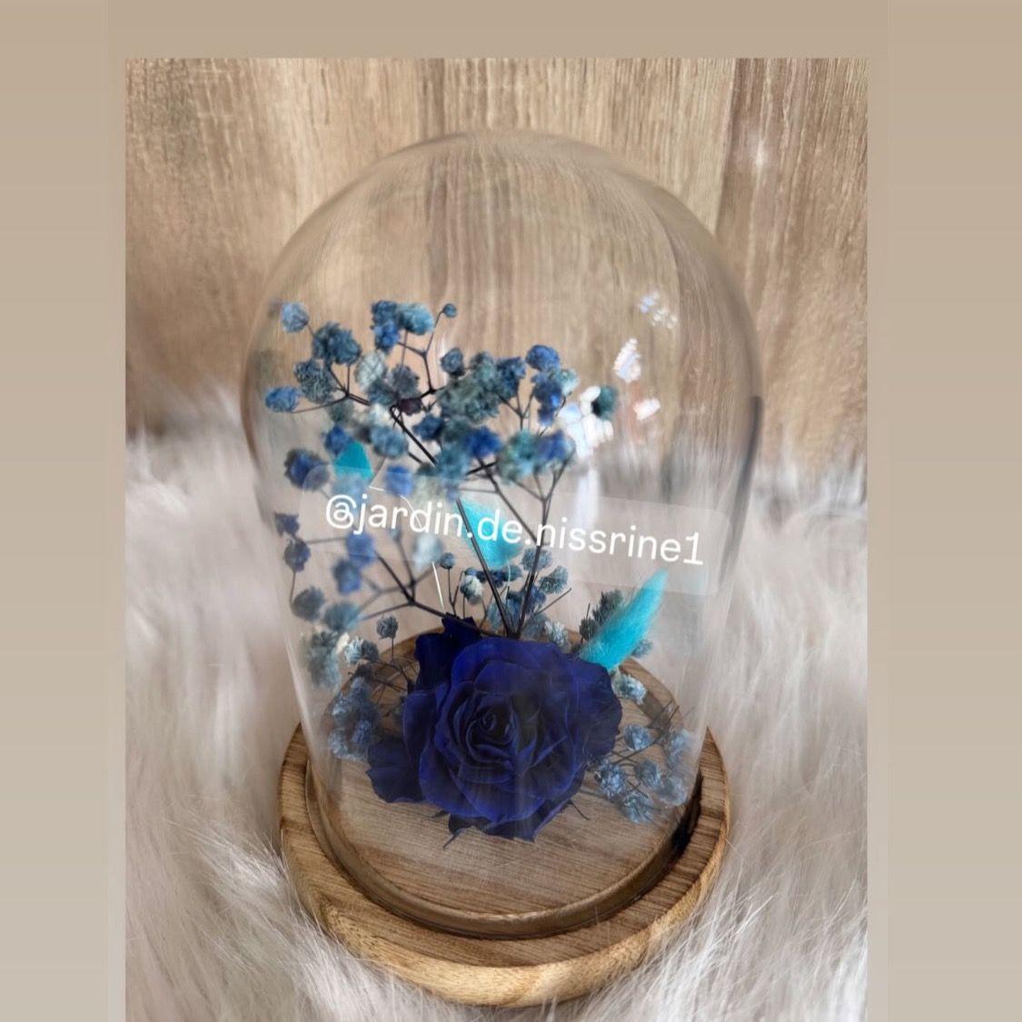 Rose éternelle Avec fleurs séchée H